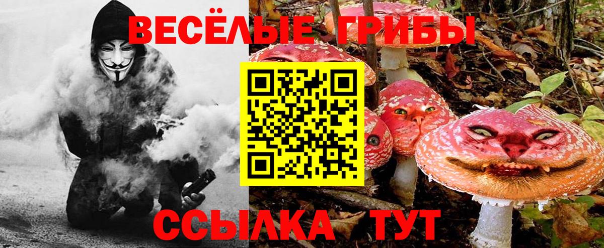 Галлюциногенные грибы Psilocybine cubensis  Галлюциногенные грибы GOLDEN TEACHER  Белогорск  Вход с VPN 